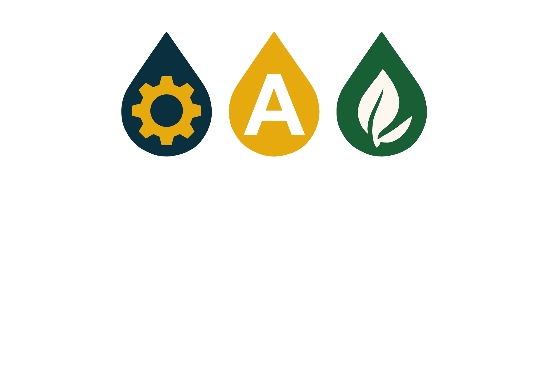 Amanda & Co